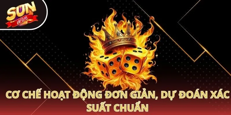 Cơ chế hoạt động đơn giản, dự đoán xác suất chuẩn