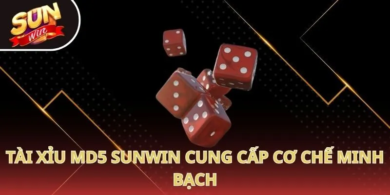 Tài xỉu MD5 Sunwin cung cấp cơ chế minh bạch